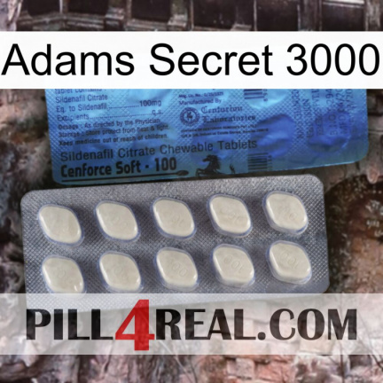 Adams Secret 3000 34
